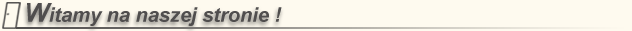 witamy na stronie